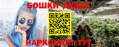 гидропоника Новокубанск