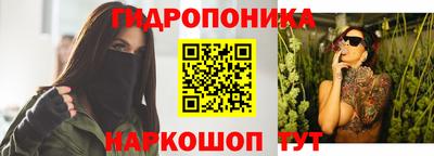 альфа пвп Новодвинск